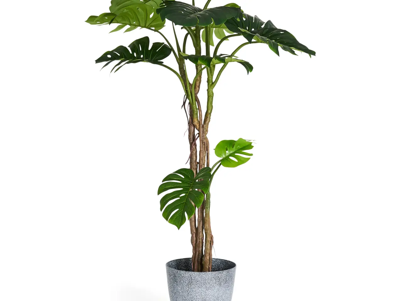Billede 1 - Kunstig plante Monstera 180 cm. 