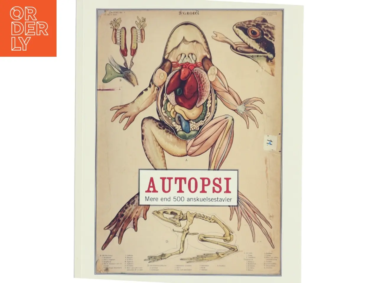 Billede 1 - Autopsi af Kristina Ask (Bog)