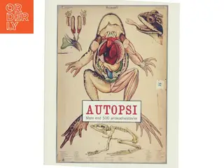 Autopsi af Kristina Ask (Bog)