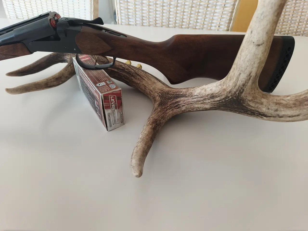 Billede 14 - 45/70 side by side