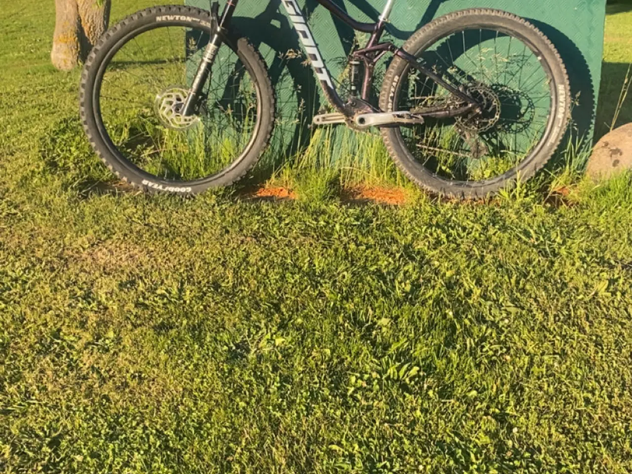 Billede 5 - Giant stance 1