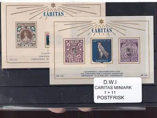 Dansk Vestindien - Caritas Miniark 1 - 11 - Postfrisk