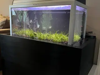 120 Liter Akvarie Sælges!