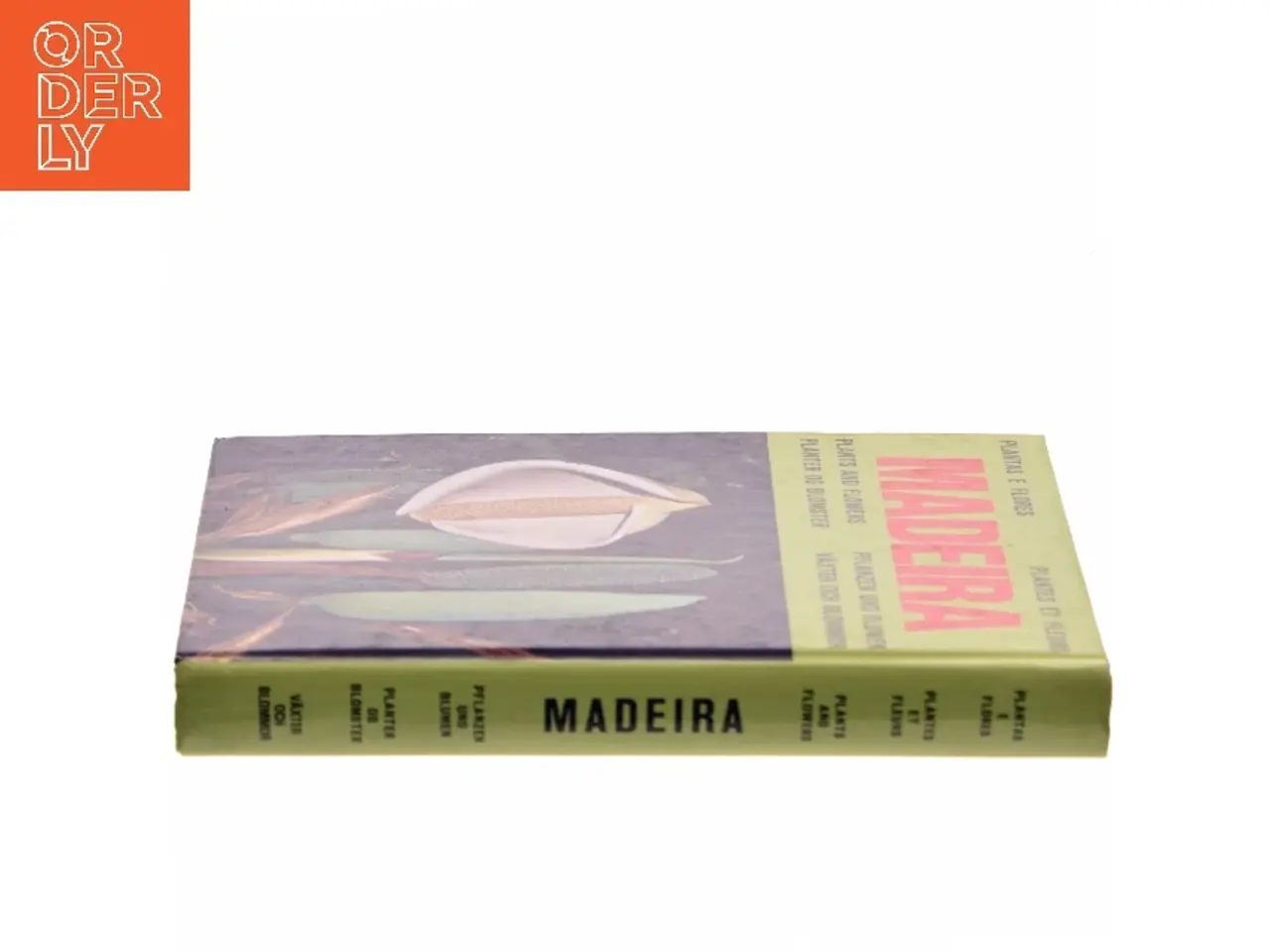 Billede 2 - Madeira (Bog)