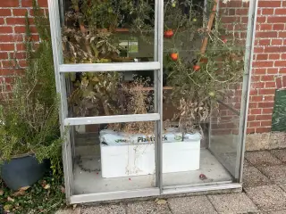Vægdrivhus