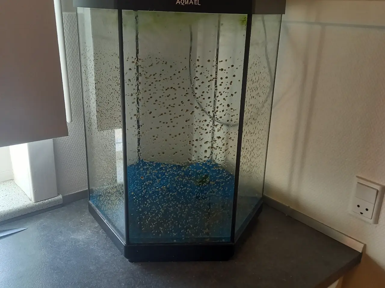 Billede 1 - Akvarium aquael