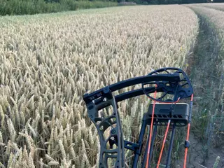 Hoyt Alpha AX 32