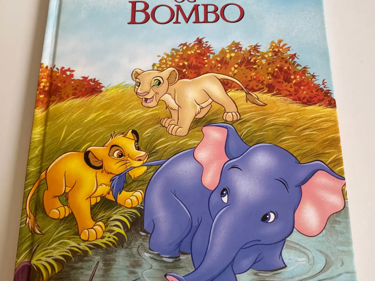Billede 1 - Løveungerne og Bombo