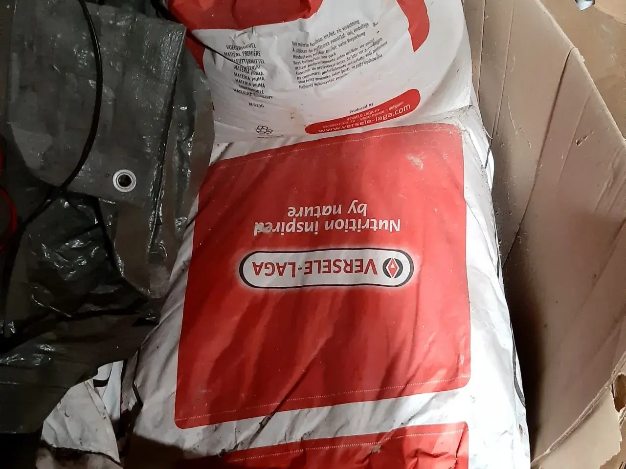 Billede 2 - Milo/Hvid Dari sæk á 25 kg (fuglemad/mycelium)