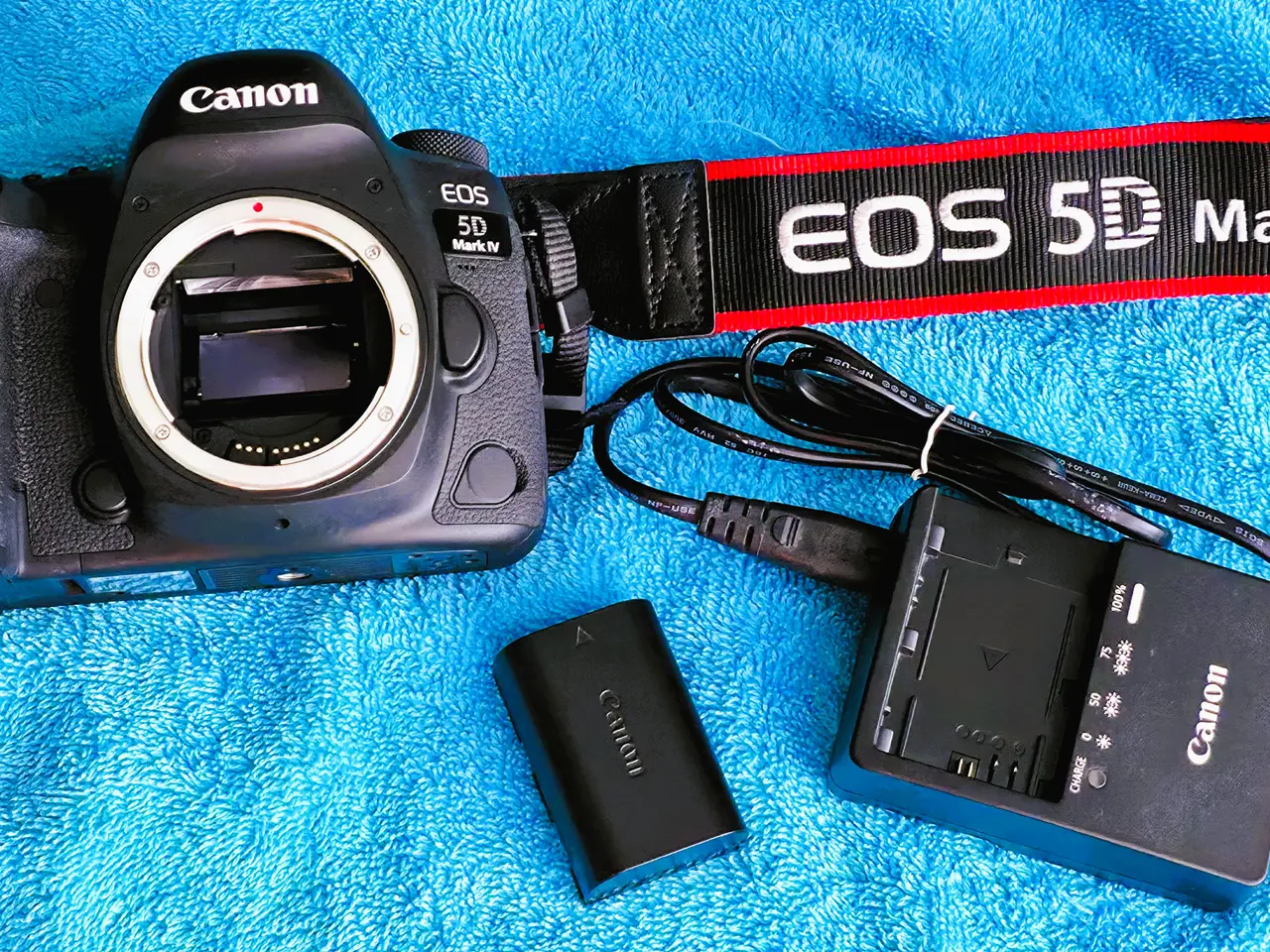 Billede 1 - Canon EOS 5D Mark IV med tilbehør.