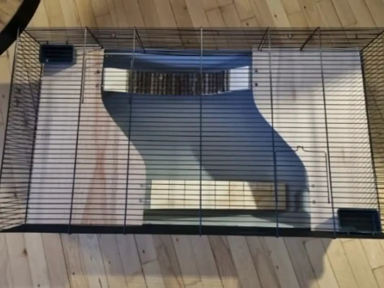 Billede 3 - Hamsterbur  100x53x40