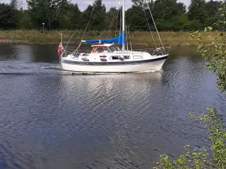 Finnsailer 29