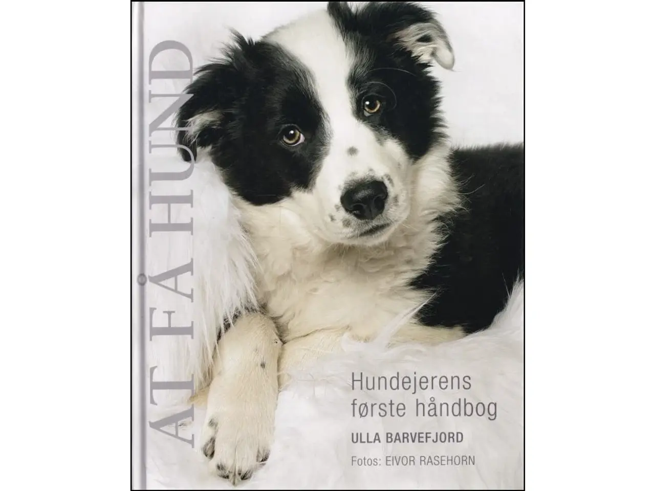 Billede 1 - At få Hund - Hundeejernes første håndbog