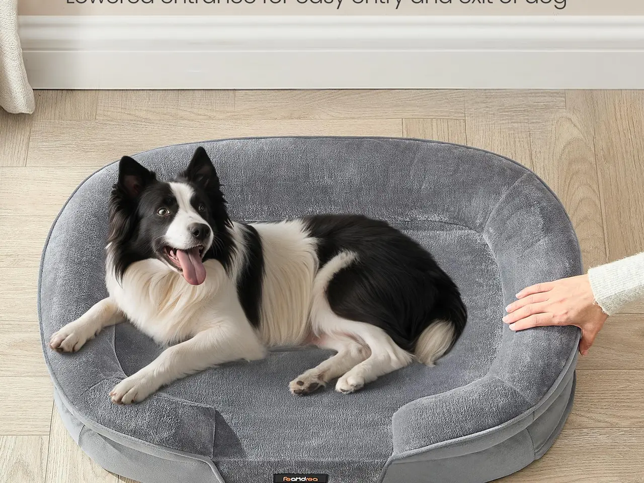 Billede 4 - Ortopædisk hundeseng FEANDREA UPGW282G01 - lysegrå