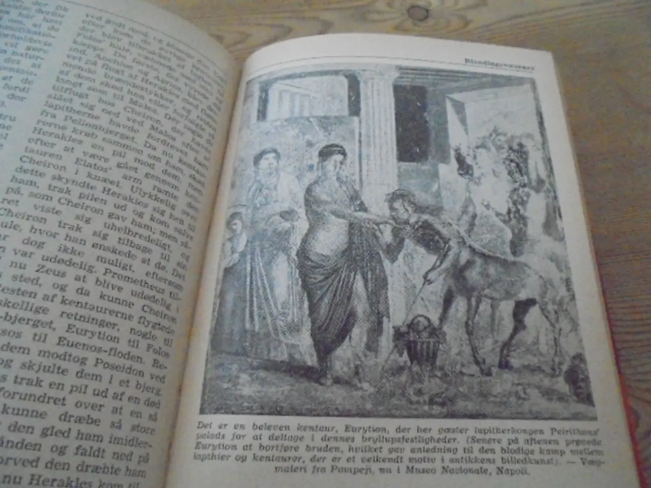 Billede 6 - Fabeldyr og sagnfolk – se fotos og omtale