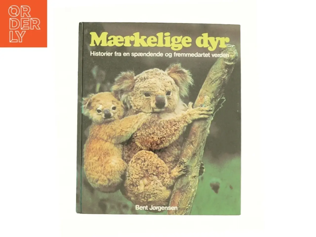 Billede 1 - Mærkelige dyr