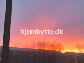 Hjembytte - Sennepshaven