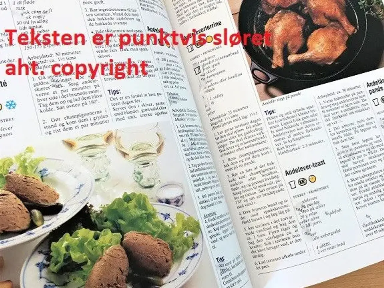 Billede 1 - Det store danske MADLEKSIKON - kogebog
