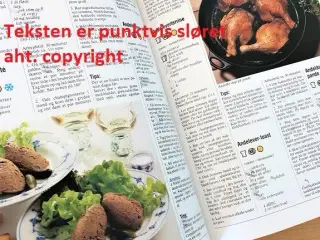 Det store danske MADLEKSIKON - kogebog