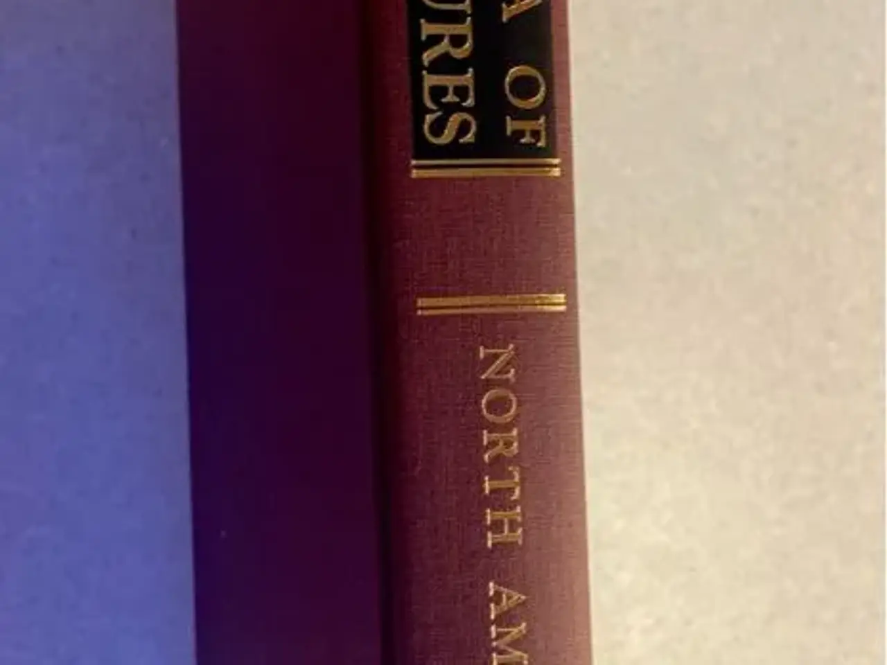 Billede 1 - Encyclopedia of World Cultures