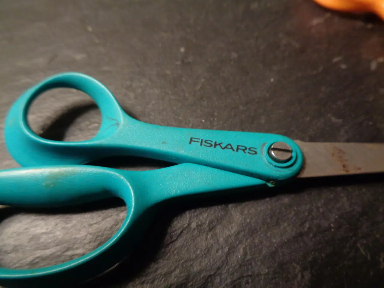 Billede 3 - Fiskars sakse