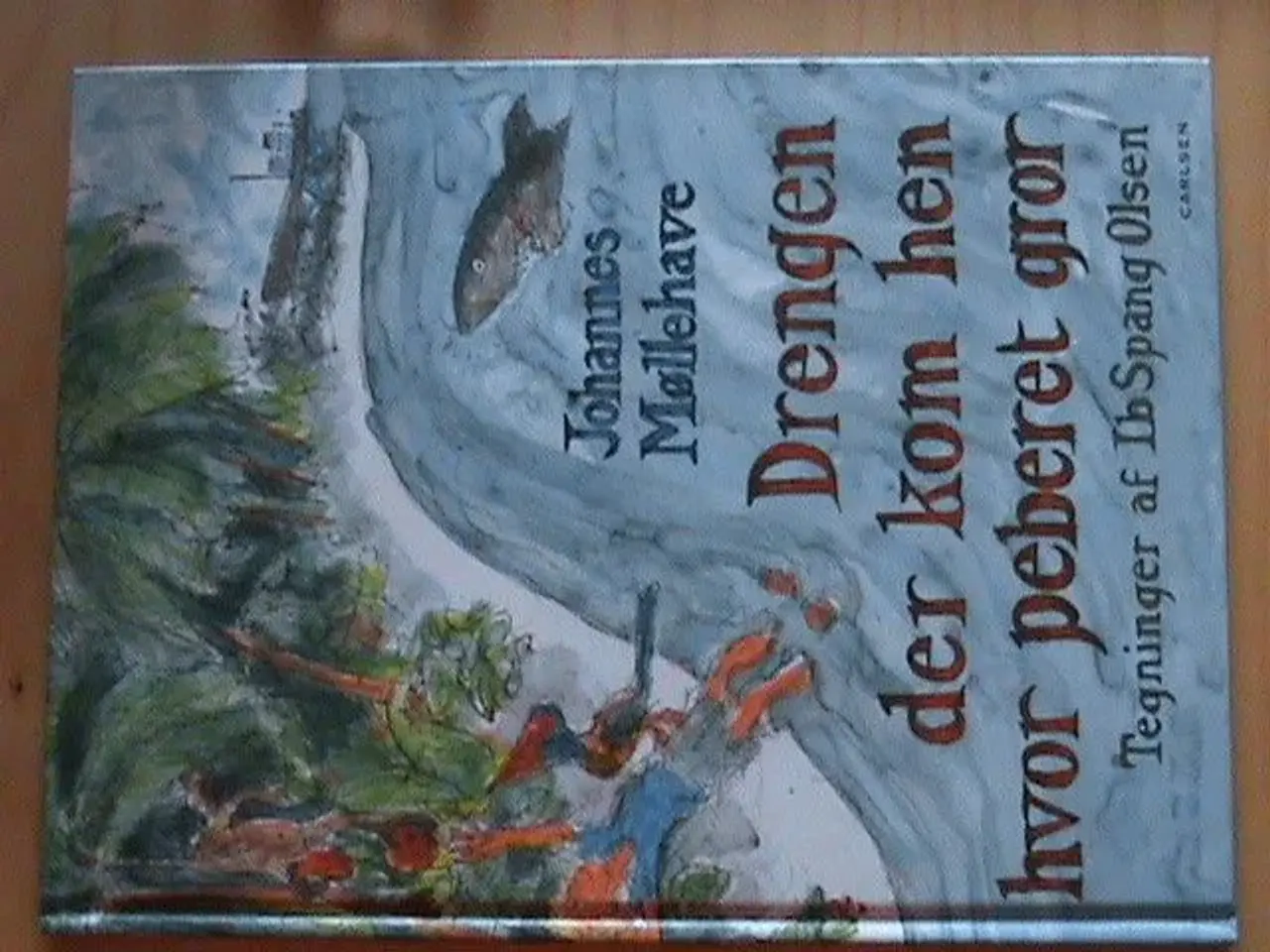 Billede 1 - BOG: Drengen der kom hen hvor peberet gror