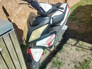 VGA grido 50