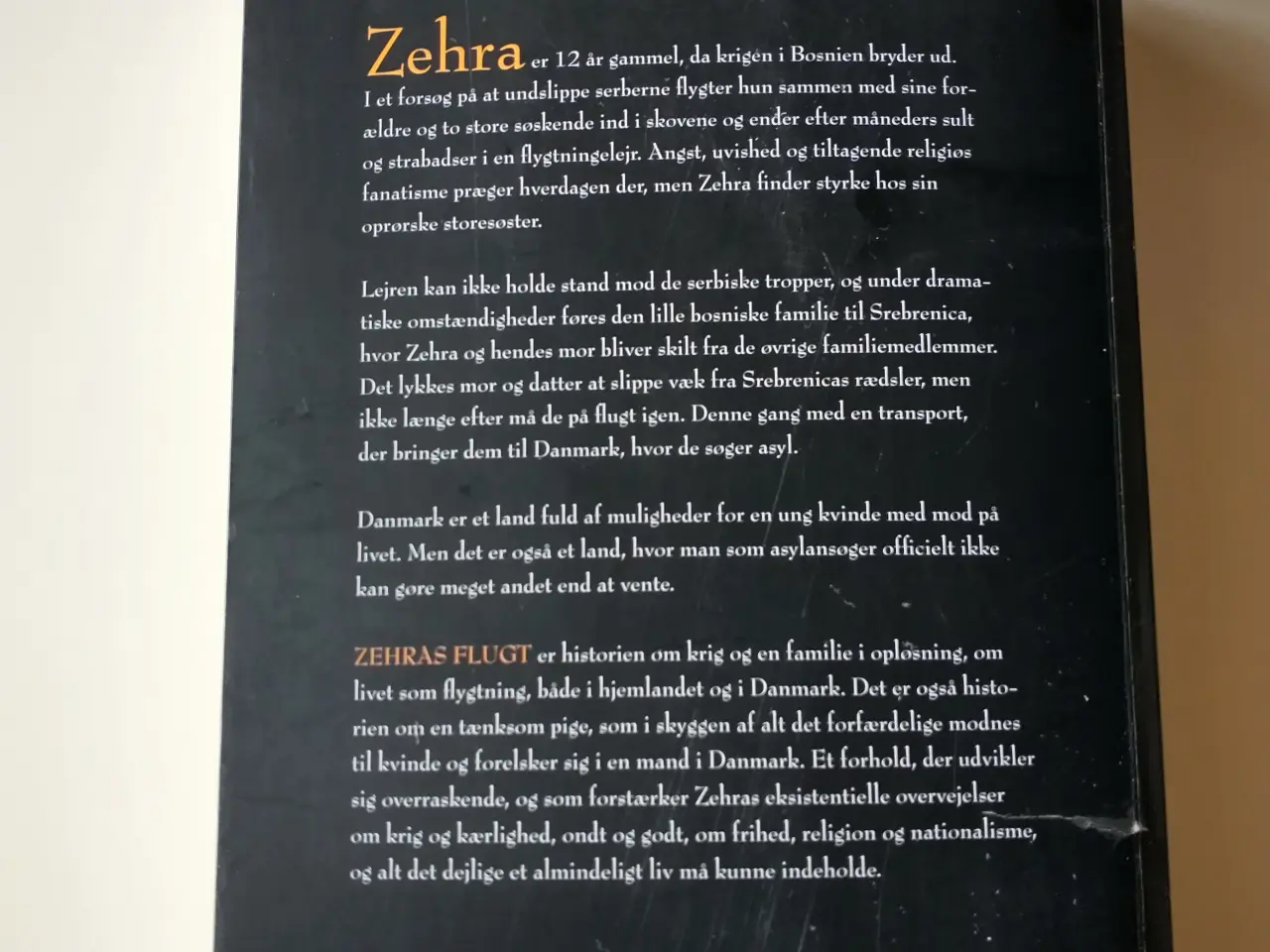 Billede 2 - Zehras flugt. Af Carsten Nagel