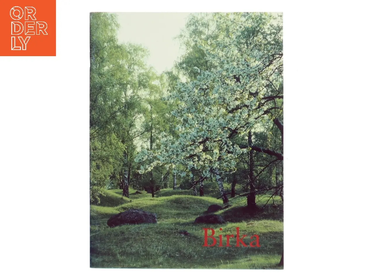Billede 1 - Birka (Bog)