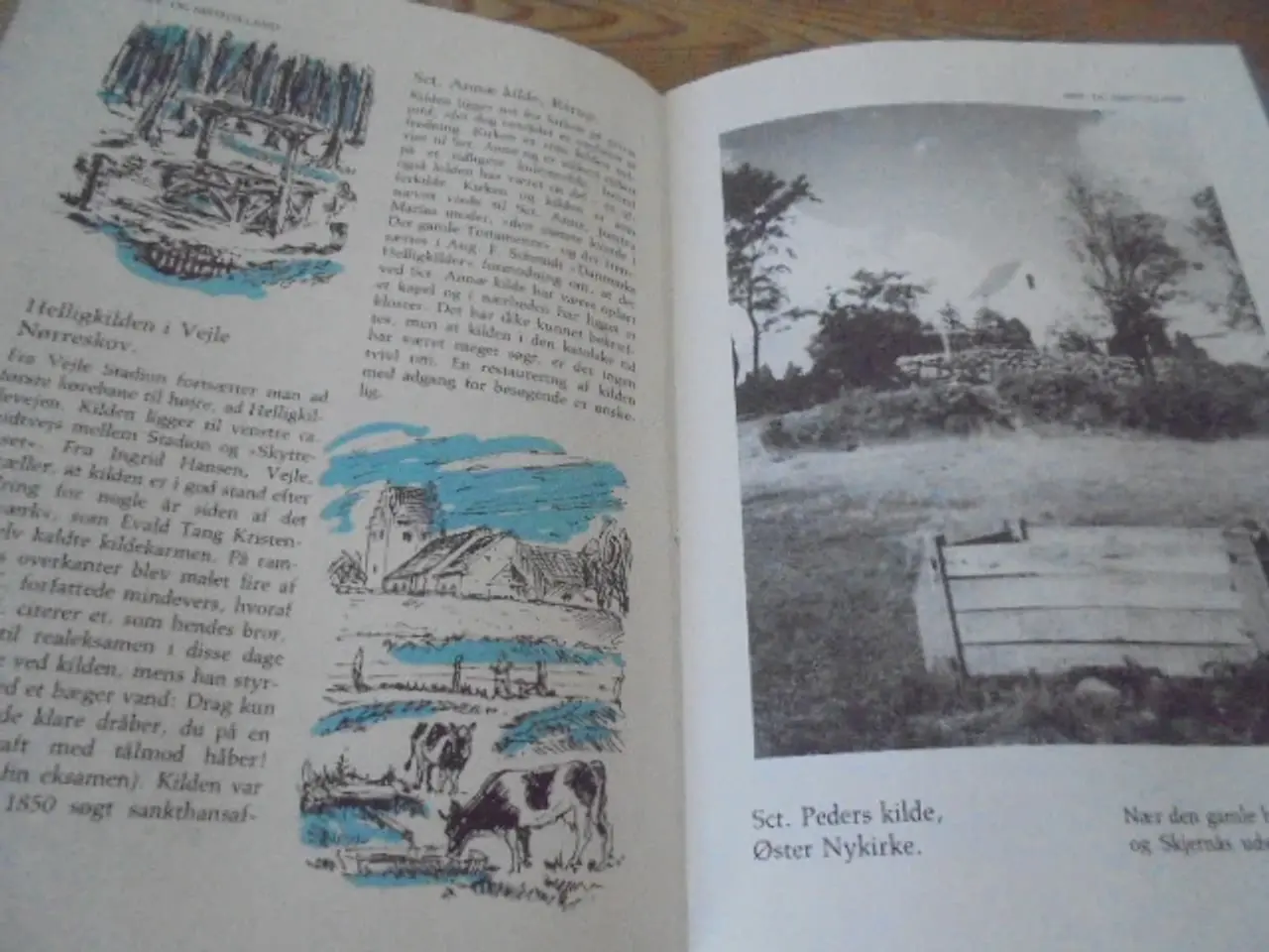 Billede 4 - 100 danske helligkilder – Siegfred Svane