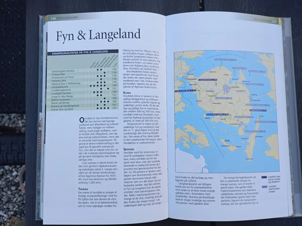 Billede 10 - Danmarks Svampelokaliteter