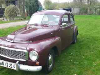 volvo pv 444