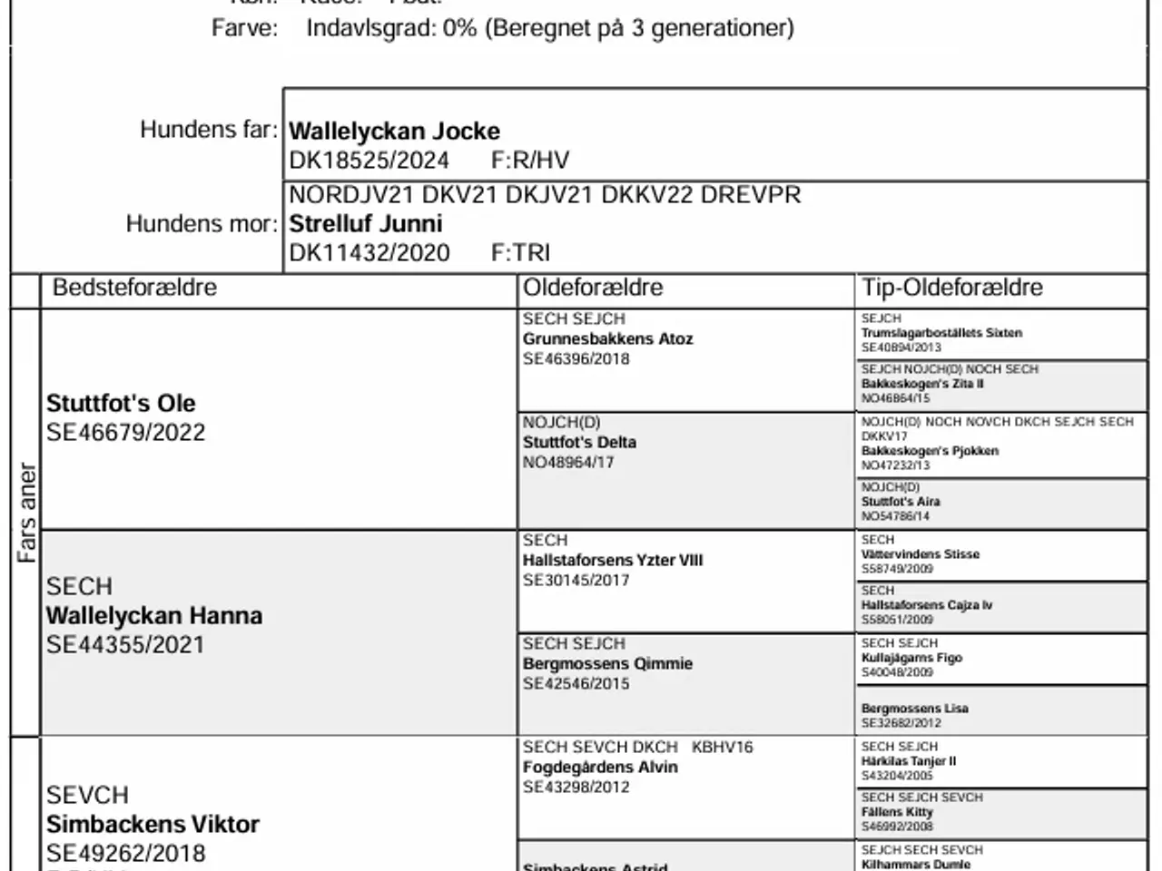 Billede 8 - Topafstammet Drever hanhvalp til salg – klar nu!