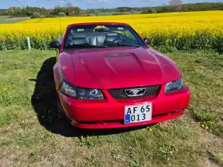 Ford Mustang 4,6 Cobra SVT Cabriolet