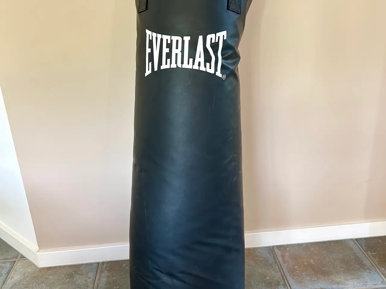 Billede 2 - Everlast boksepude med boksehandsker