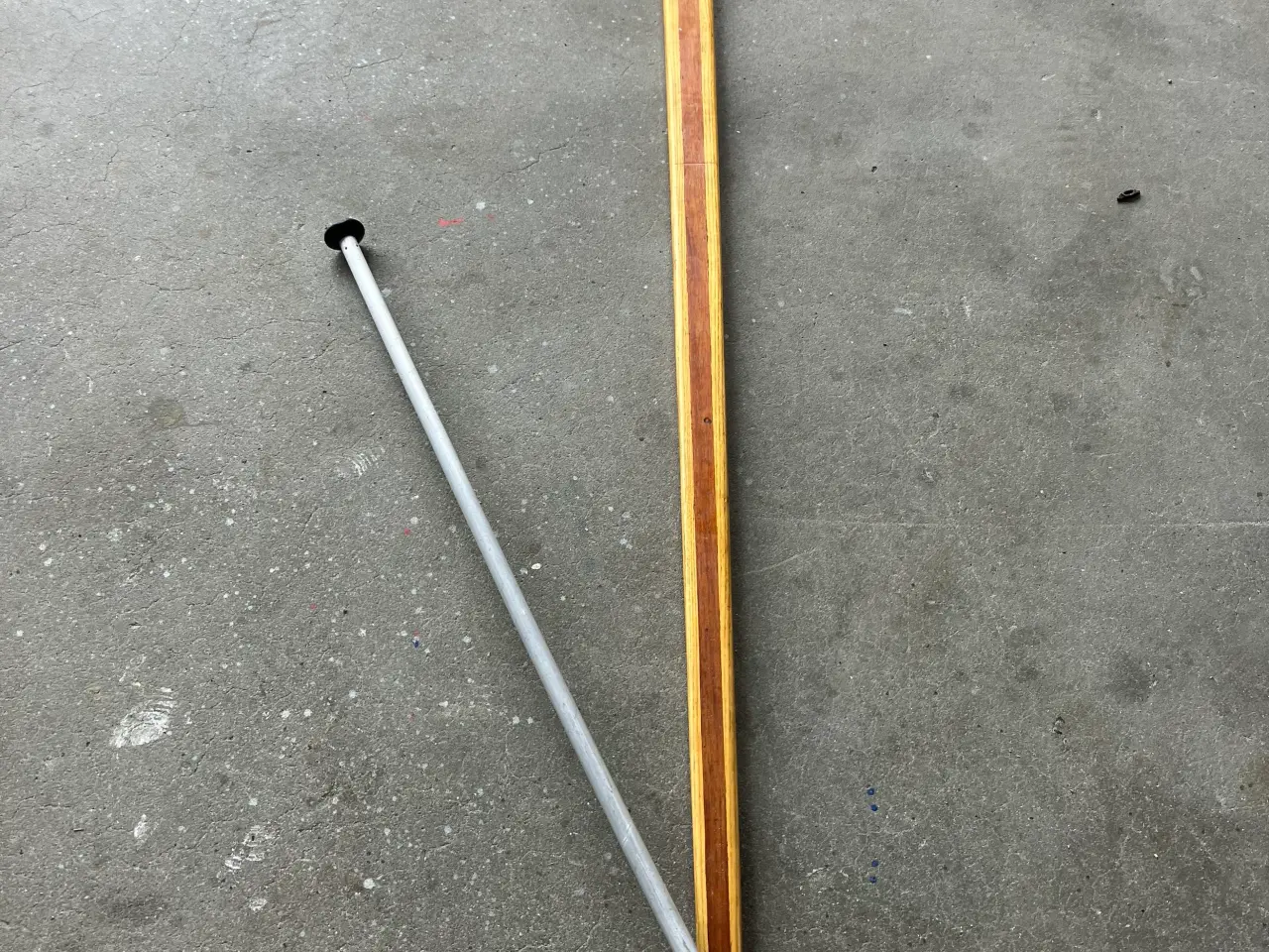 Billede 1 - Rotstang