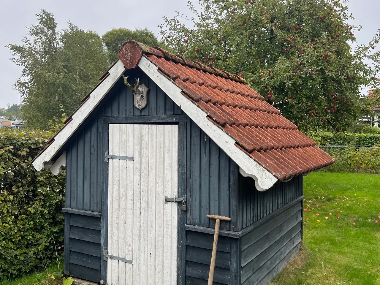 Billede 4 - Kolonihave med hus