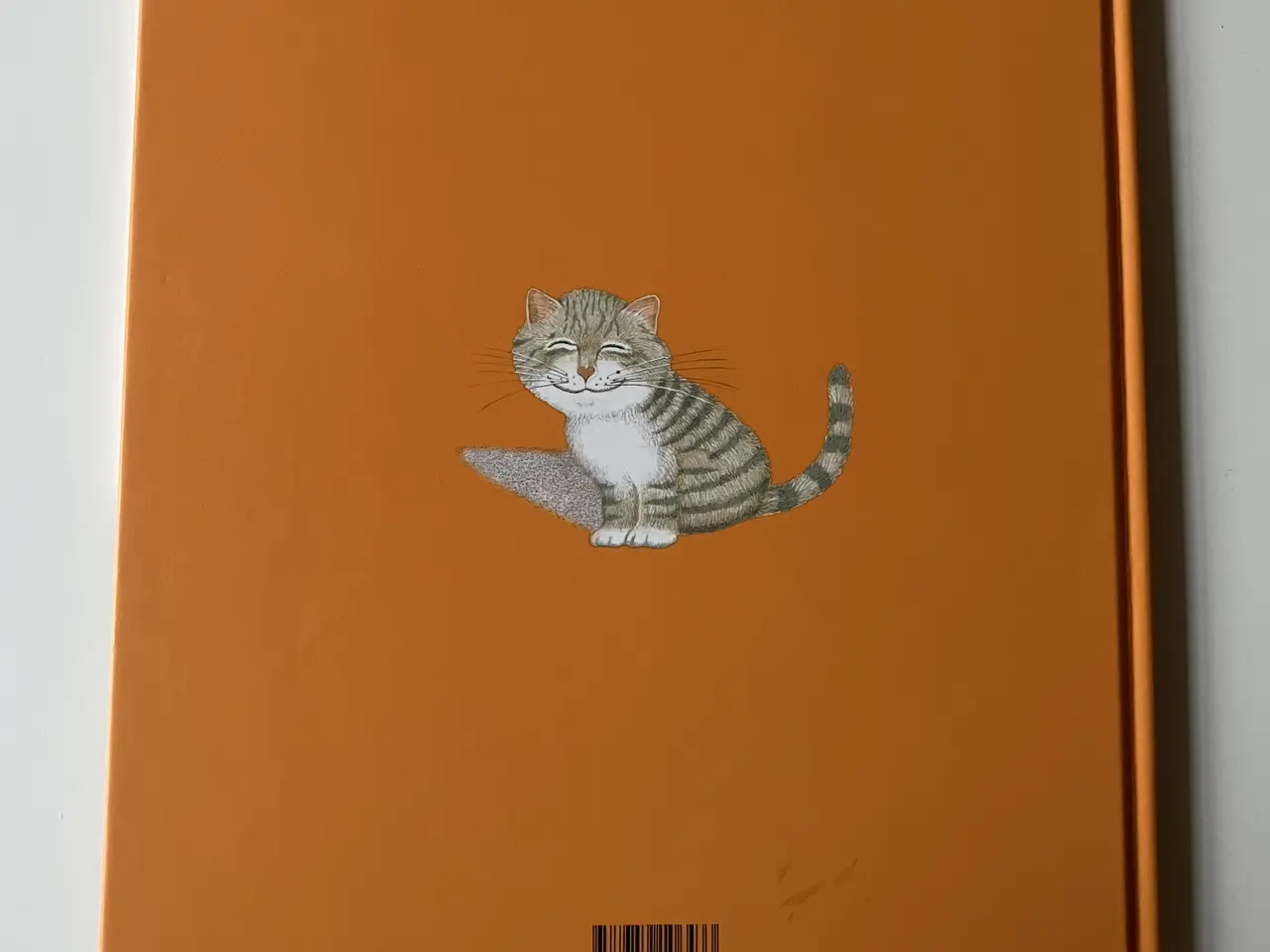 Billede 2 - Venskab. Af Anthony Browne