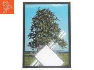 Plakat med ramme fra Posterland (str. 30x42 cm)