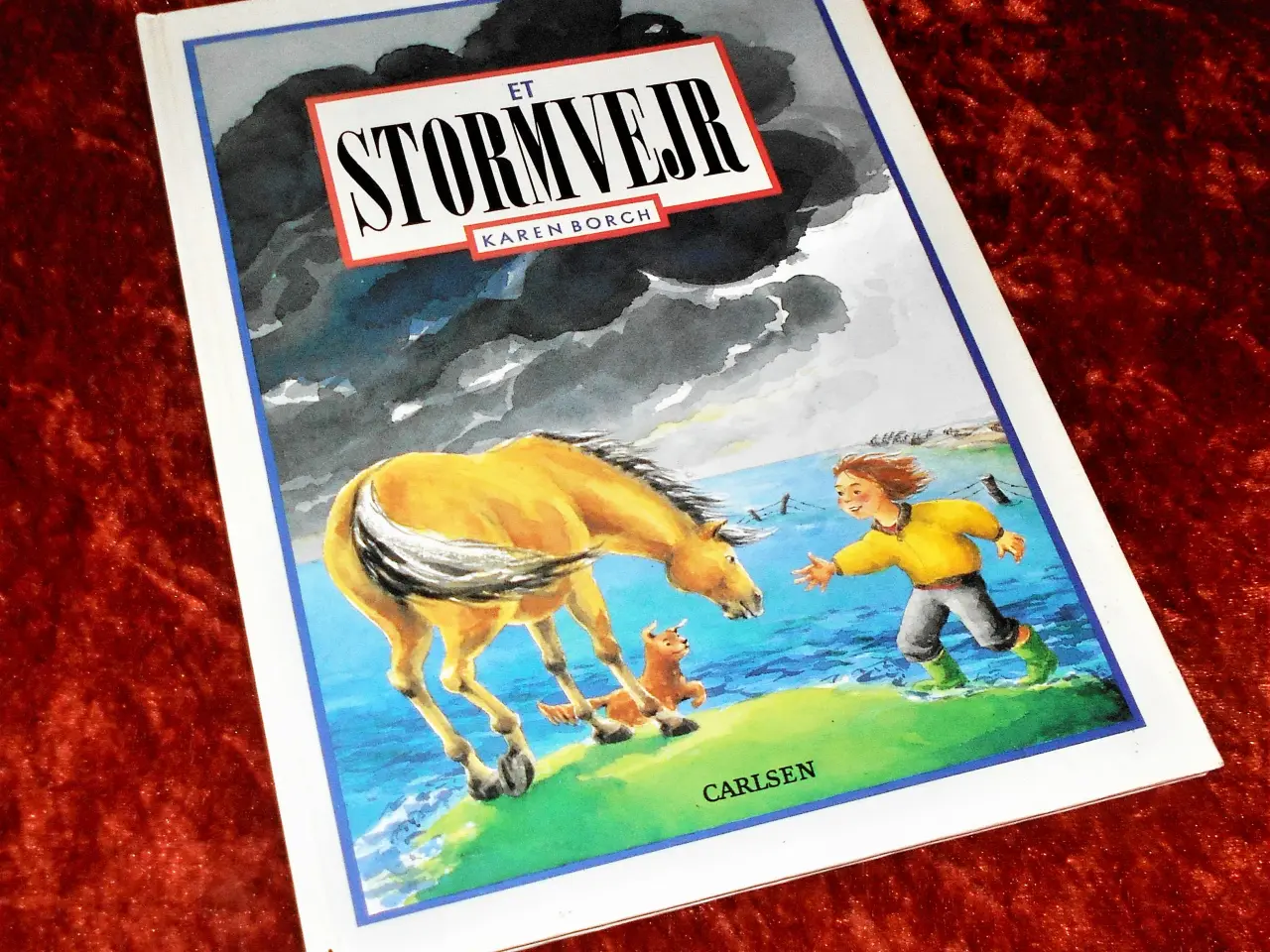 Billede 1 - Et stormvejr, Karen Borch,