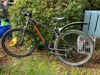 Compaion mountionbike