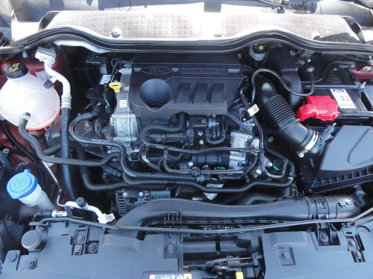 Billede 10 - Ford Fiesta 1,0 EcoBoost mHEV Titanium