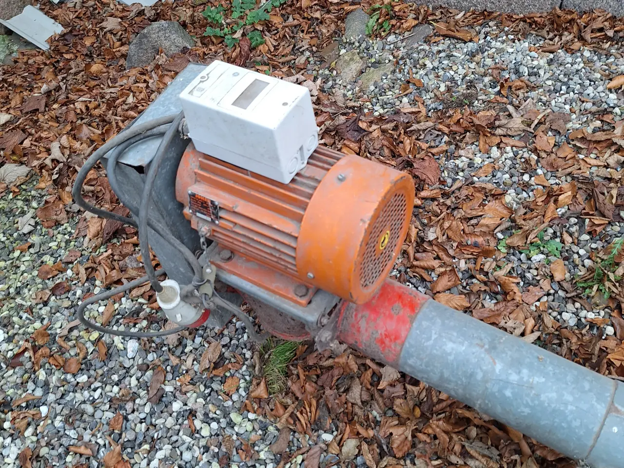 Billede 5 - Stor Kornsnegl "virker"