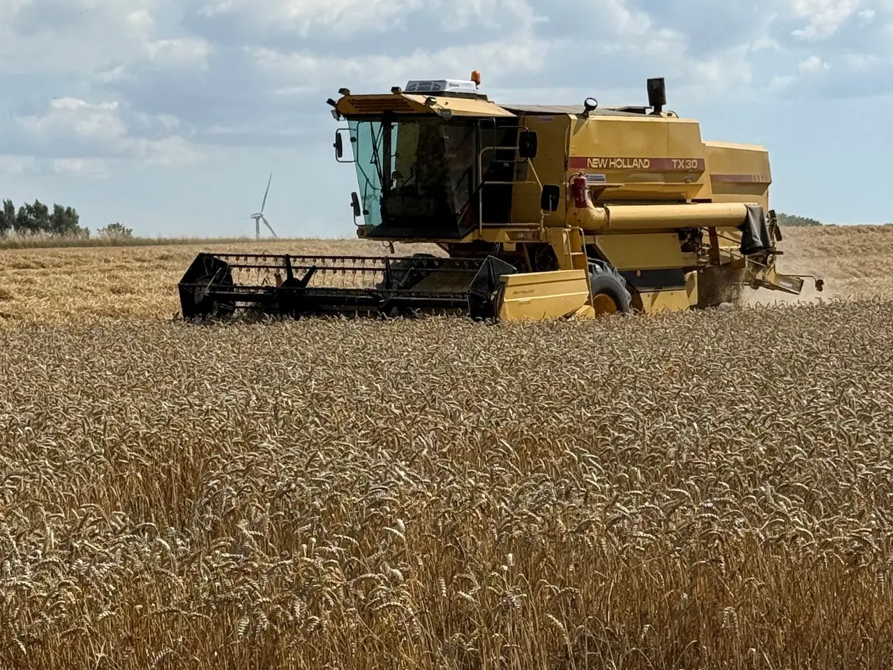 Billede 8 - New Holland TX30 Mejetærsker