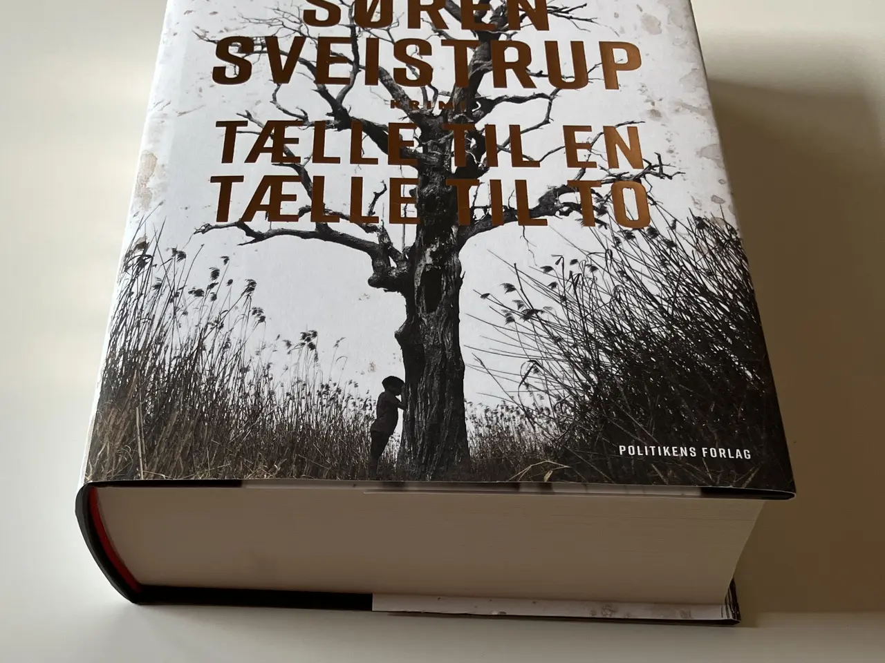 Billede 6 - Tælle til en, tælle til to. Af Søren Sveistrup