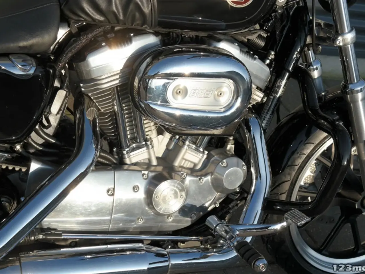 Billede 13 - Harley-Davidson XL883L MC-SYD       BYTTER GERNE