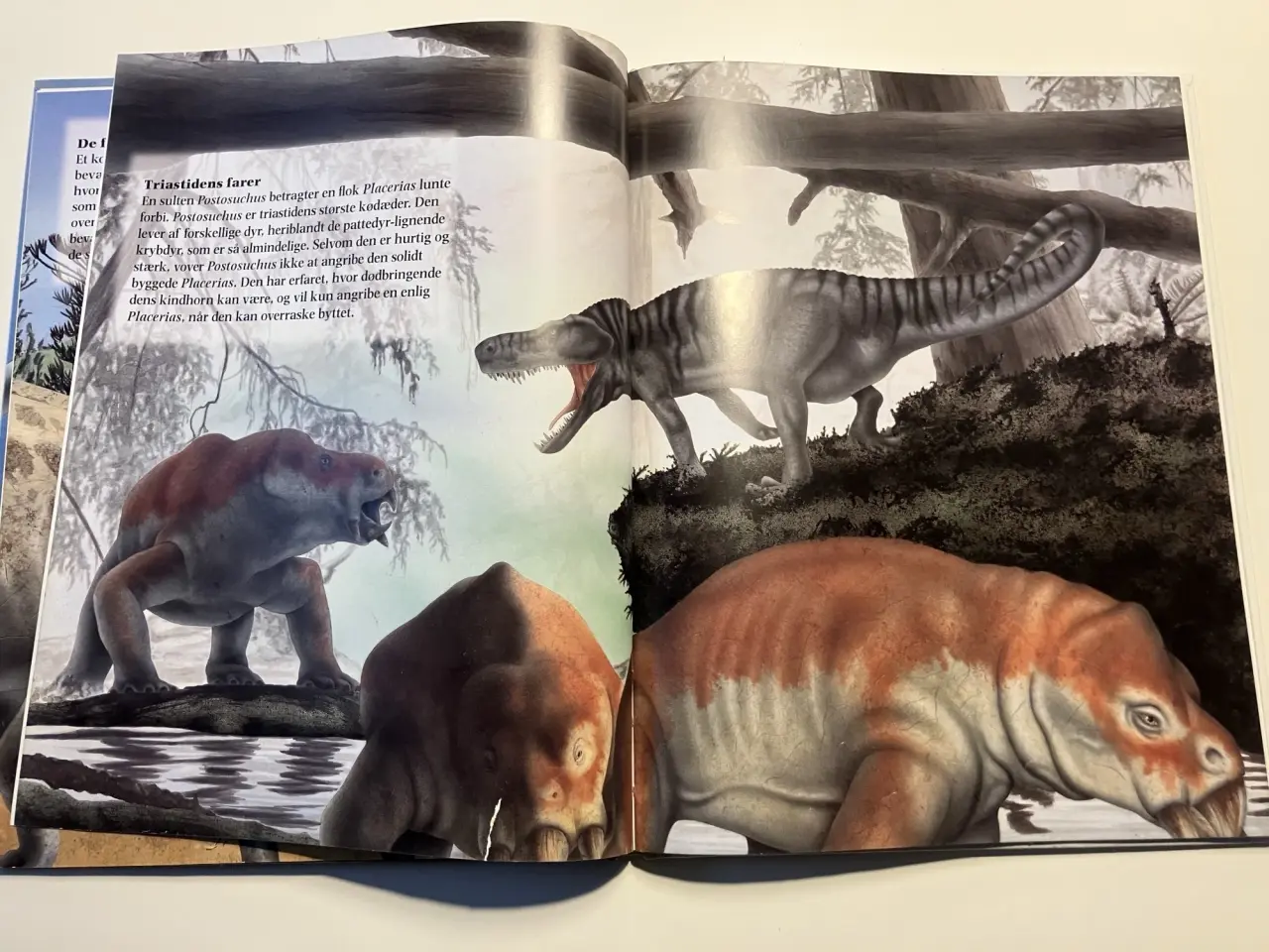 Billede 6 - Triastidens dinosaurer. Af Rupert Matthews