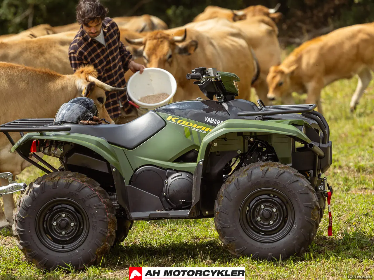 Billede 6 - Yamaha Kodiak 700 EPS Traktor