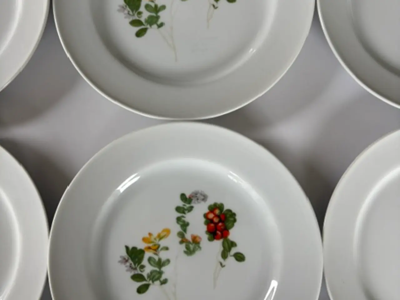 Billede 5 - 11 Flora Danica tallerkener med botaniske motiver