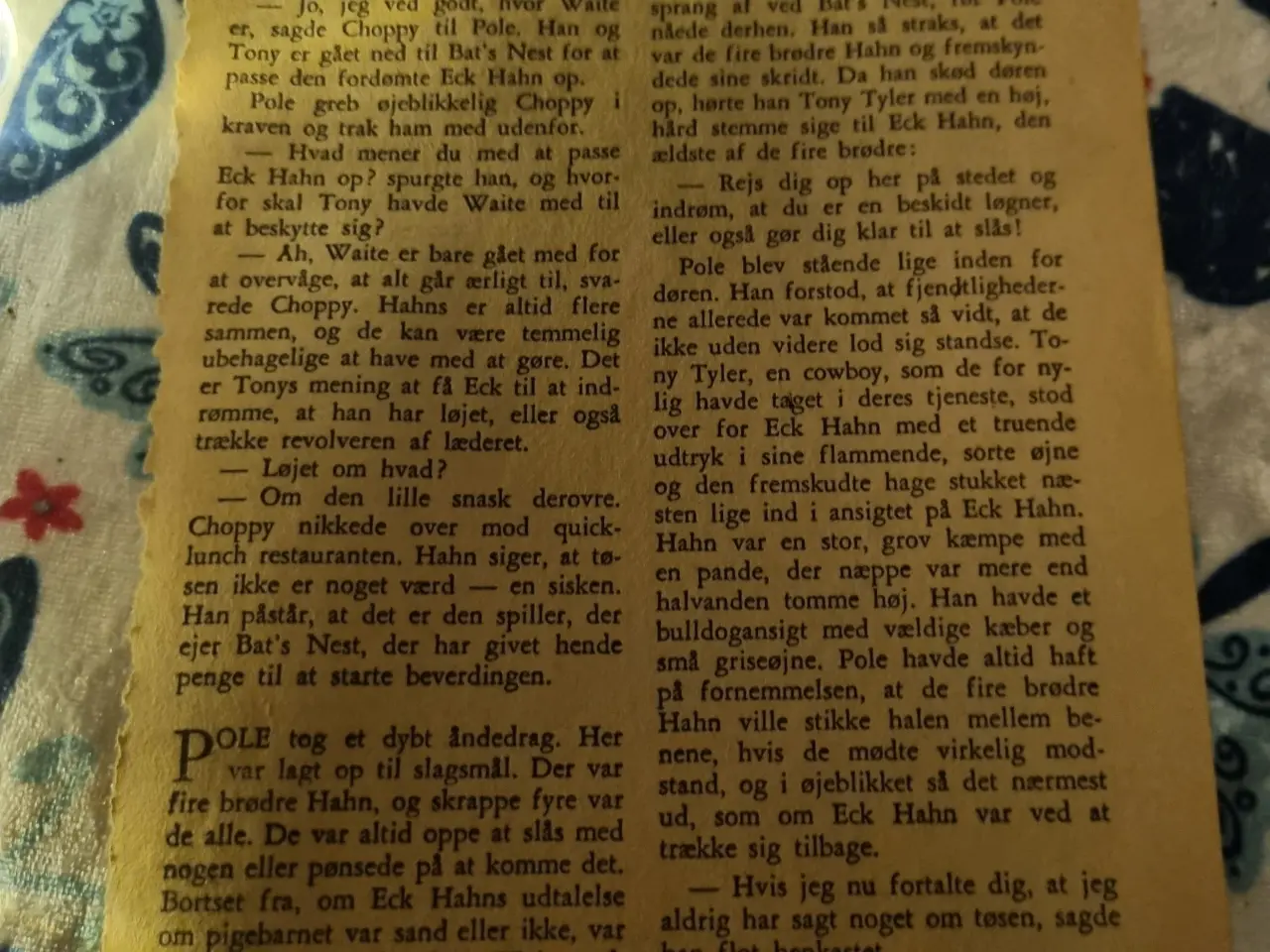 Billede 2 - Annonce 574 - Hobby